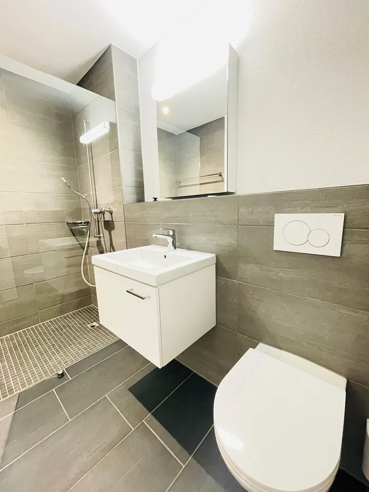 TOP MODERN 4.5-ROOM APARTMENT IN HERZOGENBUCHSEE