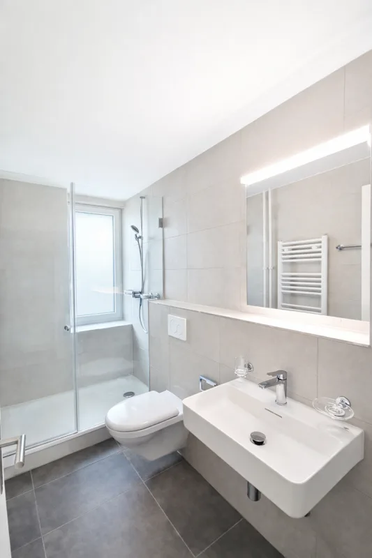 2.5 rooms, first occupancy after comprehensive total renovation