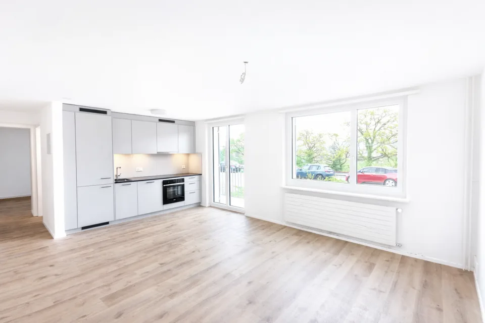 2.5 rooms, first occupancy after comprehensive total renovation