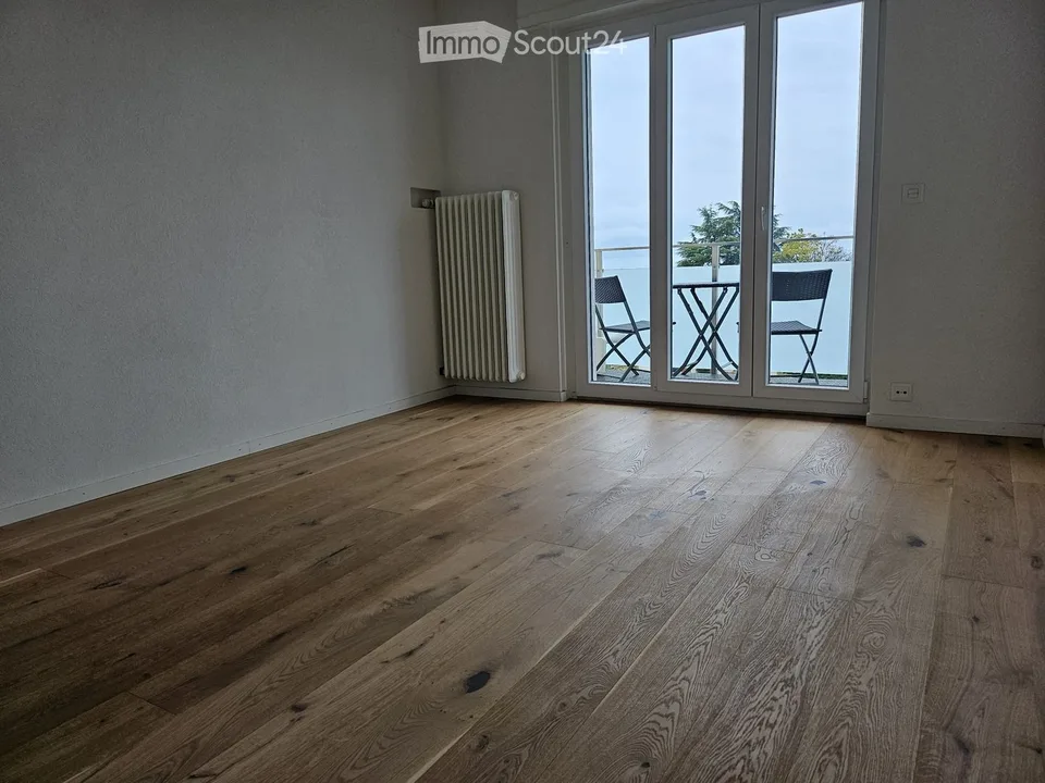 3,5 Zimmer renoviert mit Panoramablick