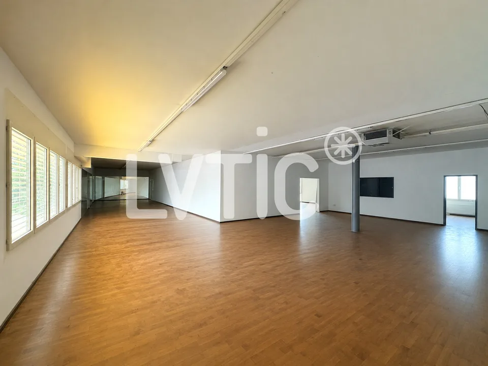 Uffici, locali, laboratorio di 336 m2 in affitto a Villeneuve – foto 2 di 9