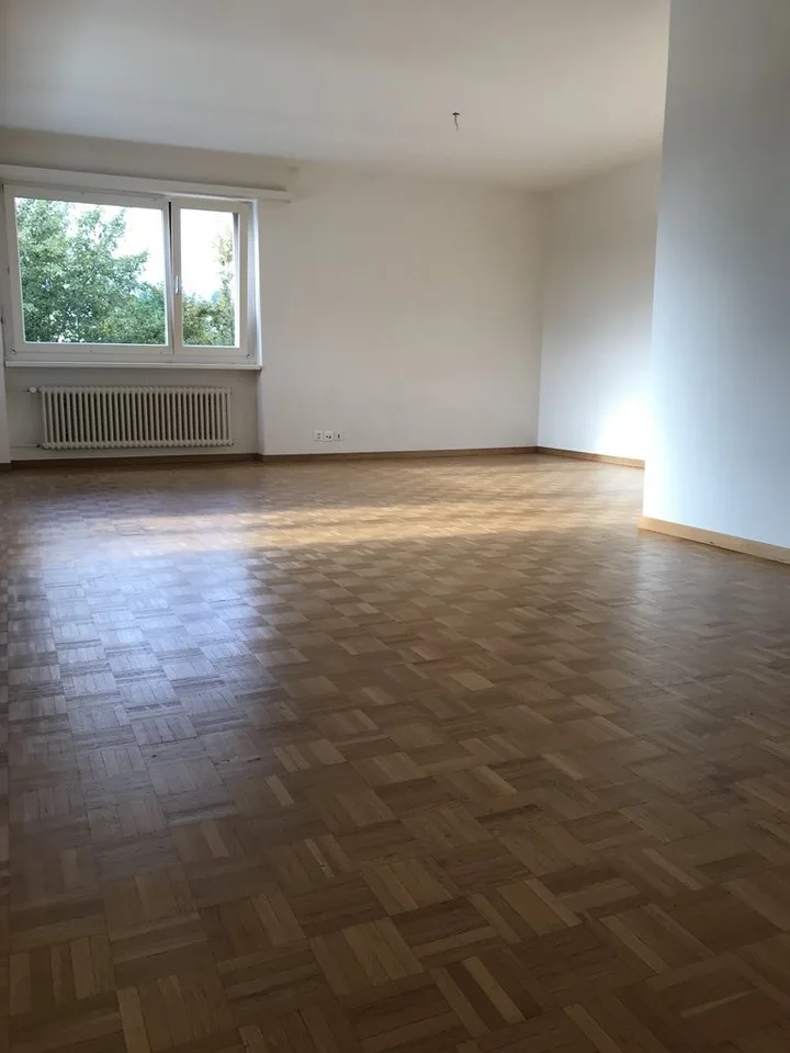 Appartement moderne et ensoleillé dans le beau Richterswil