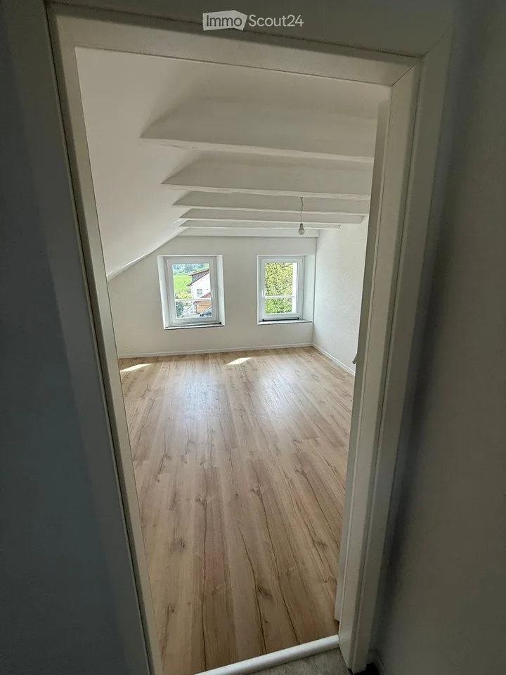 4.5 room apartment 1st floor fully renovated