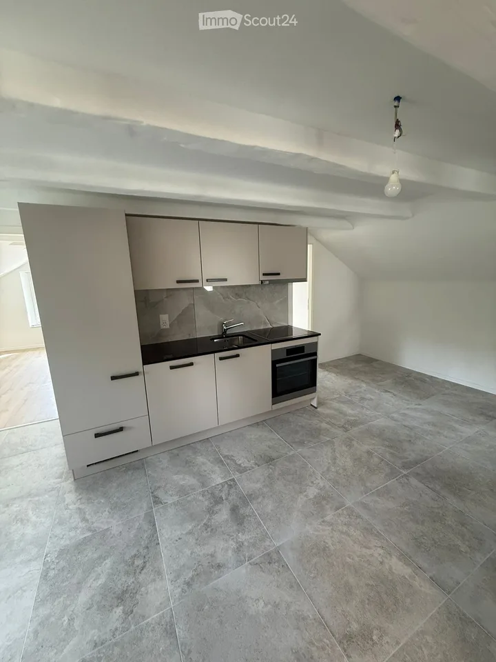 4.5 room apartment 1st floor fully renovated