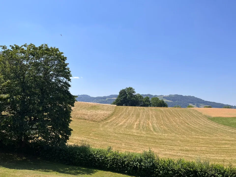 Wohnen mit Herz und Aussicht ins Grüne, auf dem Gurten im Seidenbergquartier
