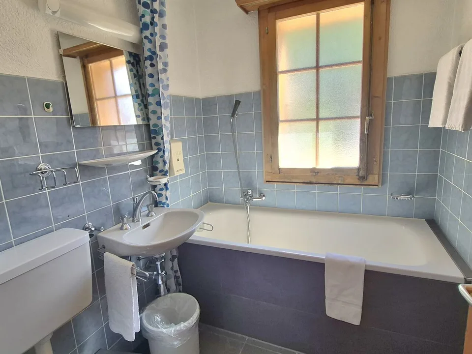 Hotel zur Verkauf – Place de la Poste, Les Haudères – Foto 6 von 6