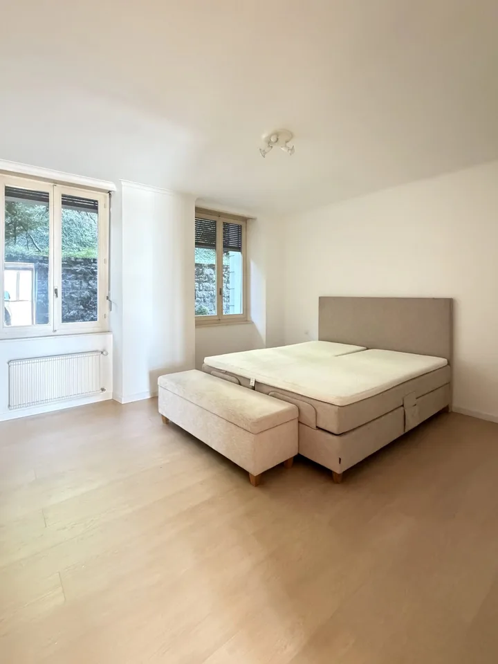 Spacious 4.5-room apartment with panoramic views of the lake