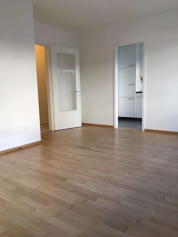 Appartement 1 pièce moderne à proximité de Dreirosenbrücke – photo 2 sur 4