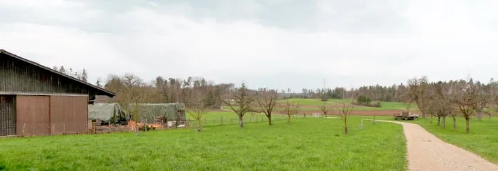 Azienda agricola con casa colonica, vari edifici rurali e terra di prato, con molto potenziale – foto 18 di 18
