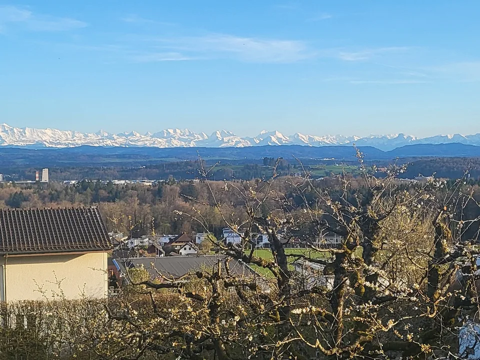 Sehr gepflegtes Architektenhaus mit zeitlosem Charme und Weitblick – Foto 12 von 13