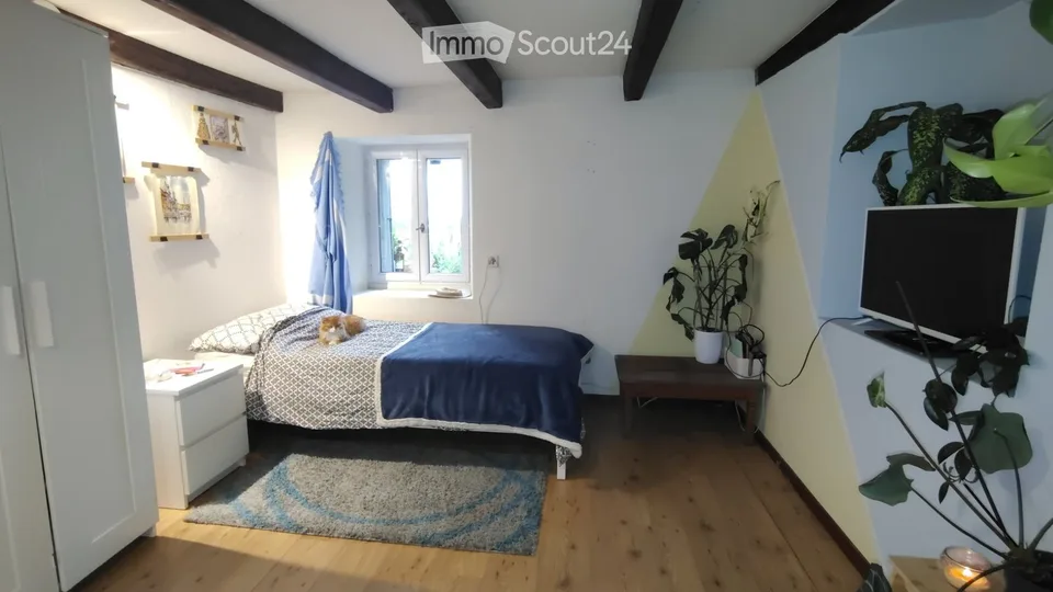Colocation in Savigny