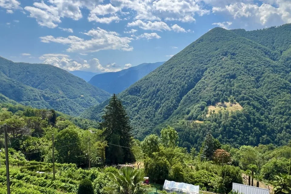 "Architektur trifft Natur" - Modernes Wohnen im Valle Onsernone mit herrlicher Aussicht - Bestzustand / Erstwohnsitz – Foto 4 von 30