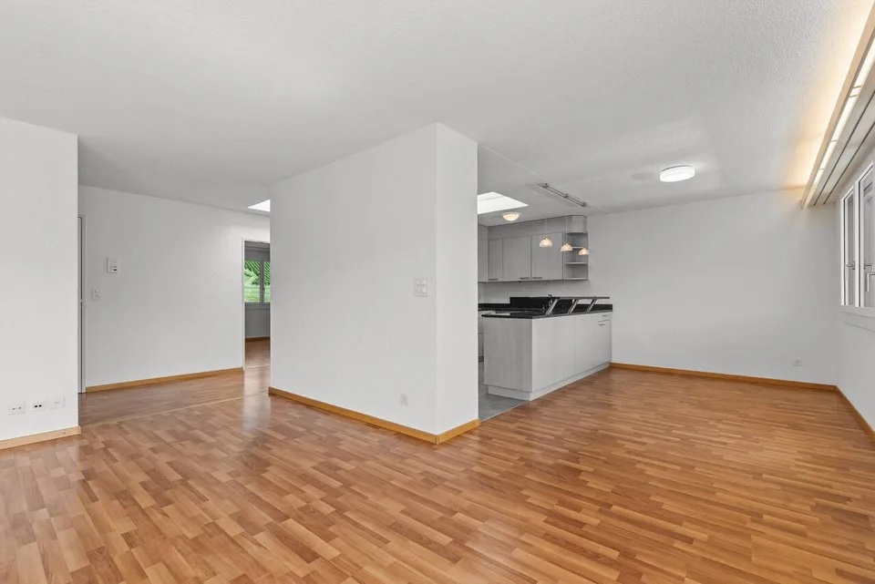 Spacious 5.5-room attic apartment with 72 m² terrace and panoramic view