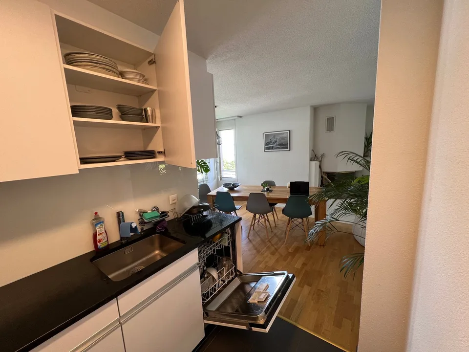 4½ ZI-WOHNUNG IN WÄDENSWIL (ZH), MÖBLIERT, TEMPORÄR