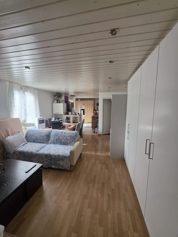 Shared flat 2 rooms in Lucerne - Schachen