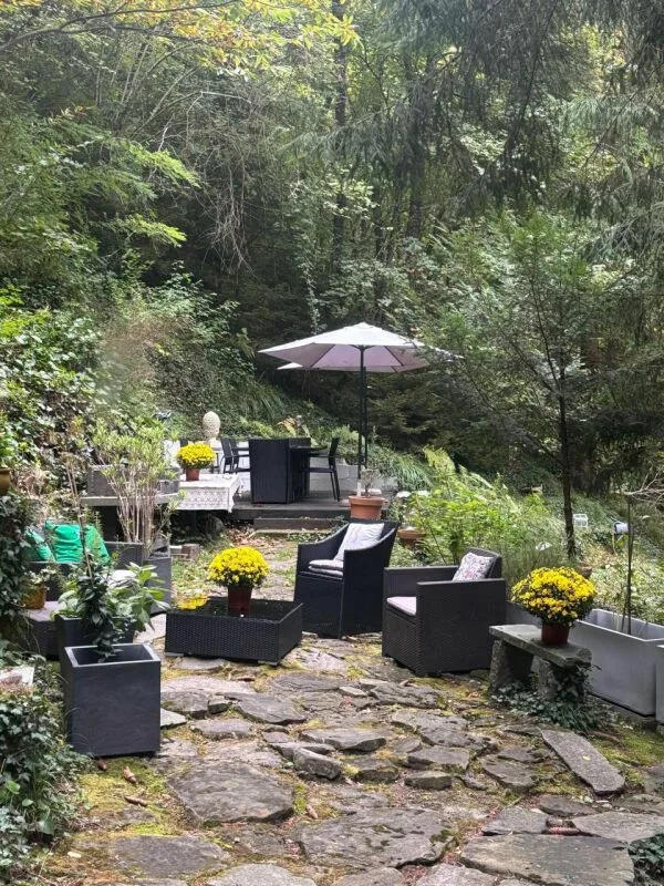 House in the heart of the forest – photo 2 of 13