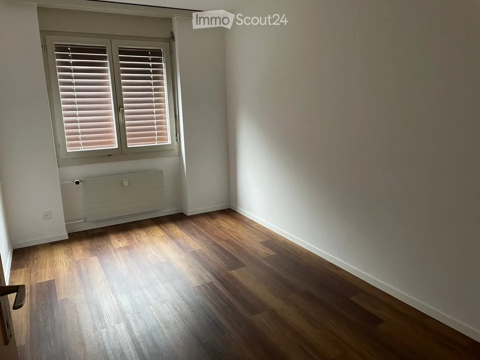 Apartment in beautiful Roggwil BE