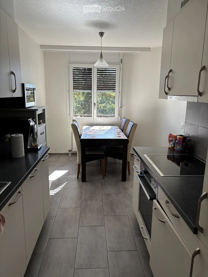 appartement 3.5 pieces traversant