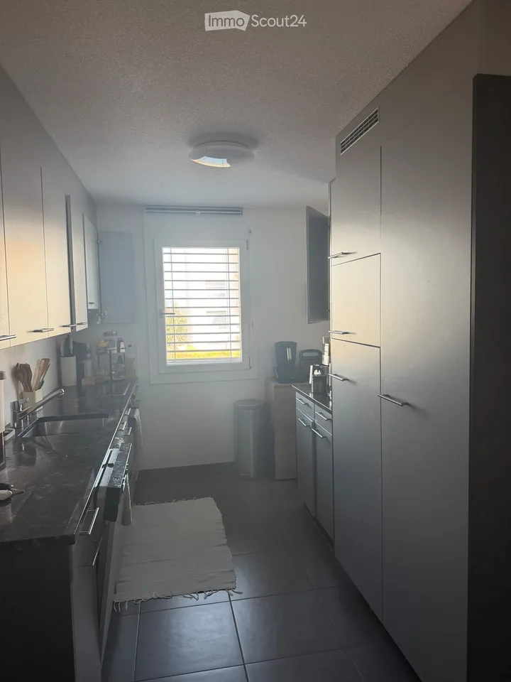 Takeover Rental Agreement Apartment 3,5 Avenches