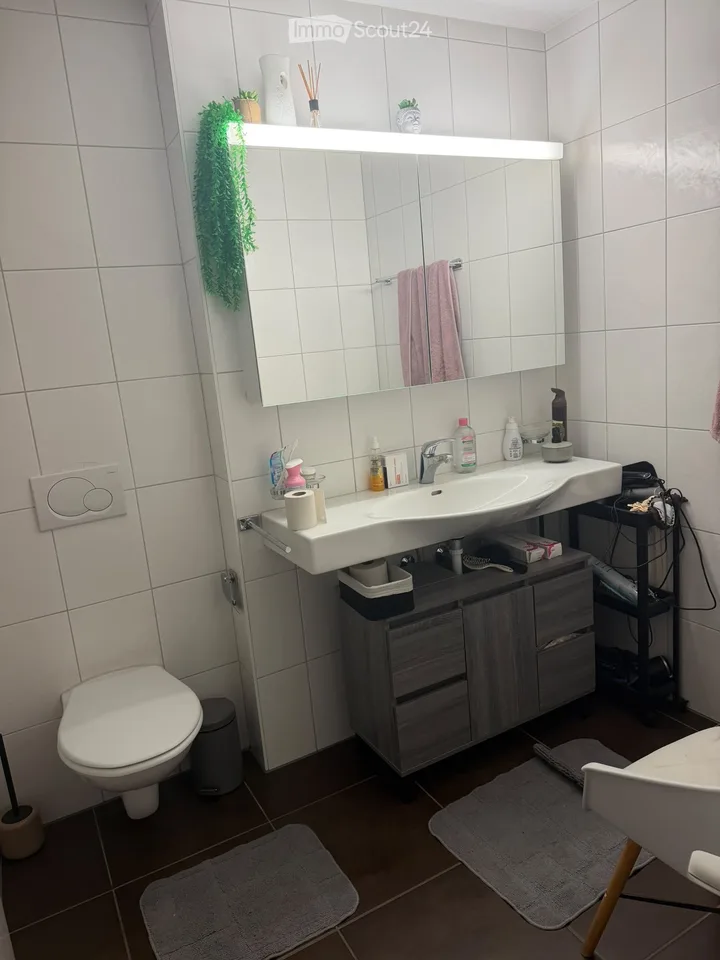 Takeover Rental Agreement Apartment 3,5 Avenches