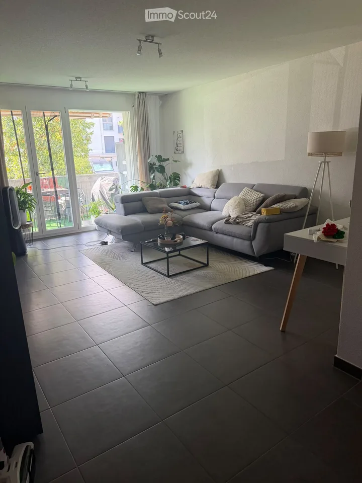 Takeover Rental Agreement Apartment 3,5 Avenches