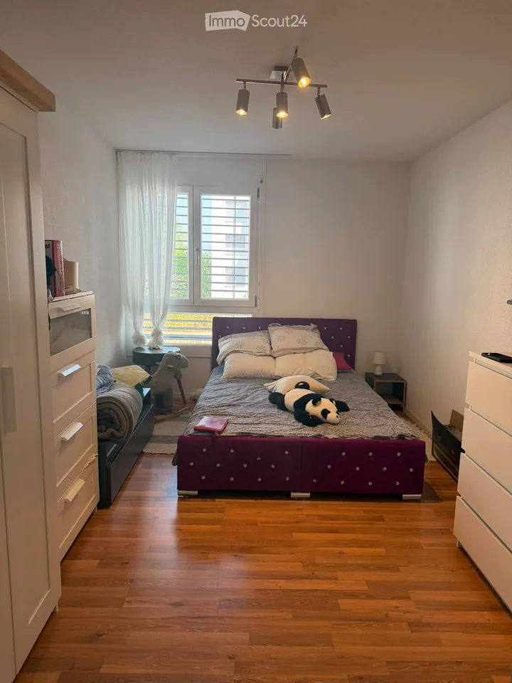 Takeover Rental Agreement Apartment 3,5 Avenches