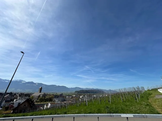 Terrain à bâtir attractif avec pente sud et vue panoramique en droit de construction – photo 5 sur 8