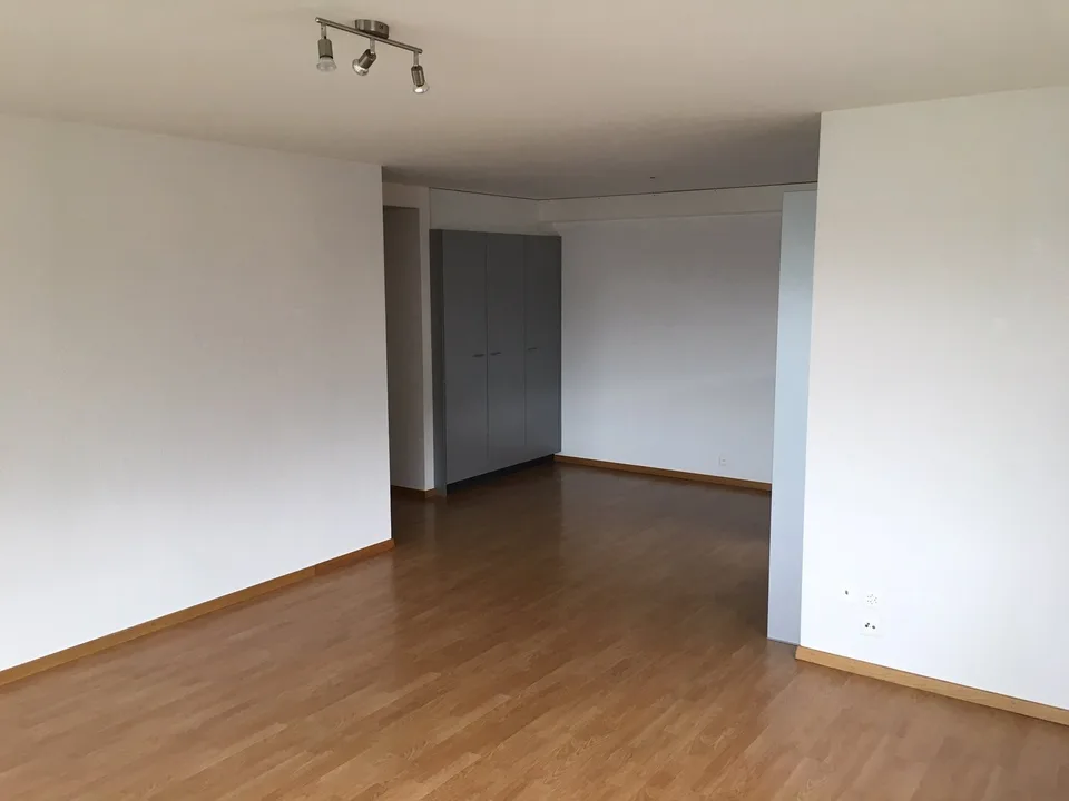 4.5-room apartment, 1st floor central