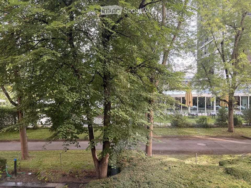 Charming 2.5-Room Apartment, shared with only 1 other person