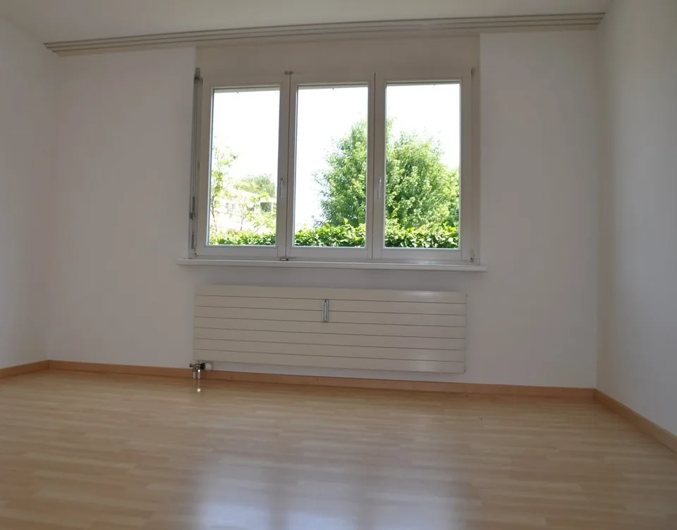 3.5 Zimmer-Wohnung in Weinfelden nahe Thur