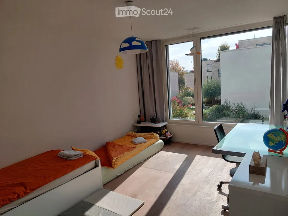 Neubau mit Sicht auf Basel - house to rent