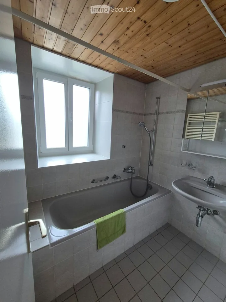 Appartement avec terrasse au bord du lac de Bret à Puidoux