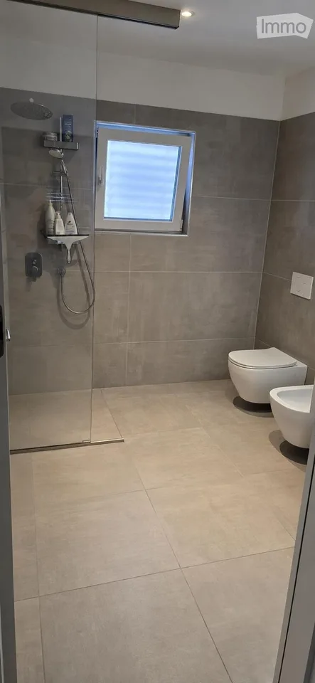 Rent 2.5-room apartment in Pollegio