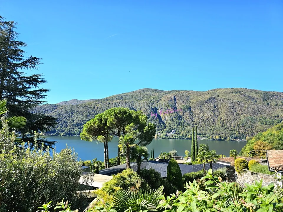Appartamento nel Villa nel primo piano con bella terrazza e vista lago