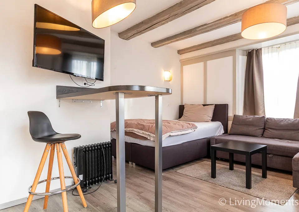 Furnished 1-room apartment with outdoor seating area