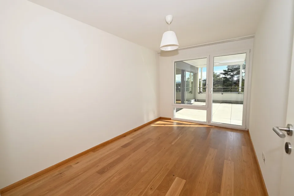 Modernes Terrassenhaus an ruhiger und zentraler Lage in Allschwil