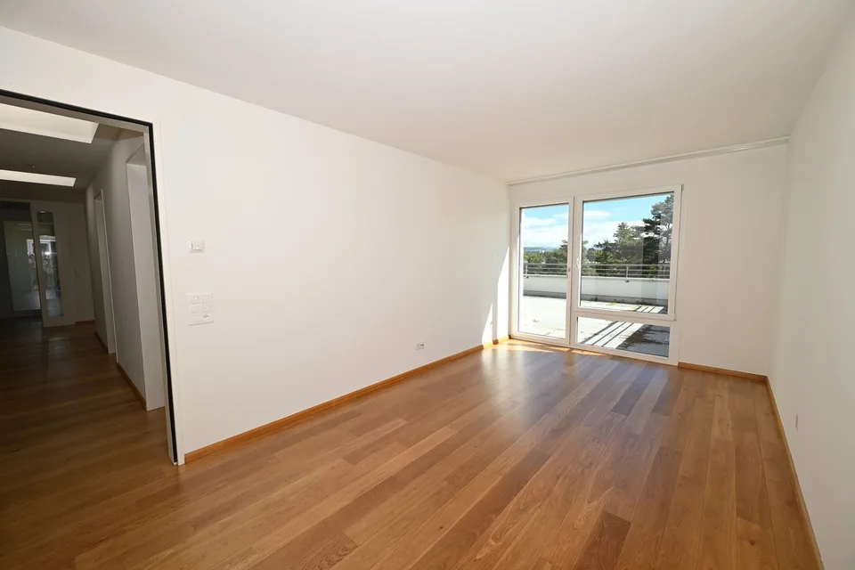 Modernes Terrassenhaus an ruhiger und zentraler Lage in Allschwil