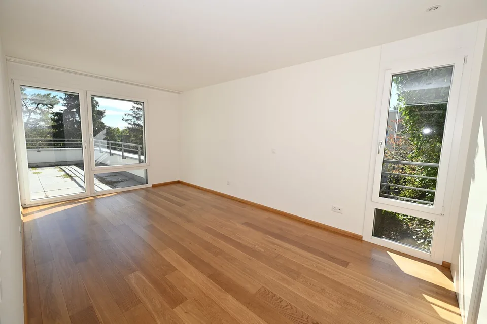 Modernes Terrassenhaus an ruhiger und zentraler Lage in Allschwil
