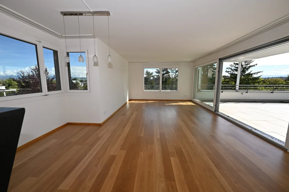 Modernes Terrassenhaus an ruhiger und zentraler Lage in Allschwil