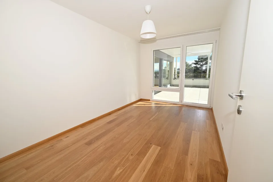 Modernes Terrassenhaus an ruhiger und zentraler Lage in Allschwil