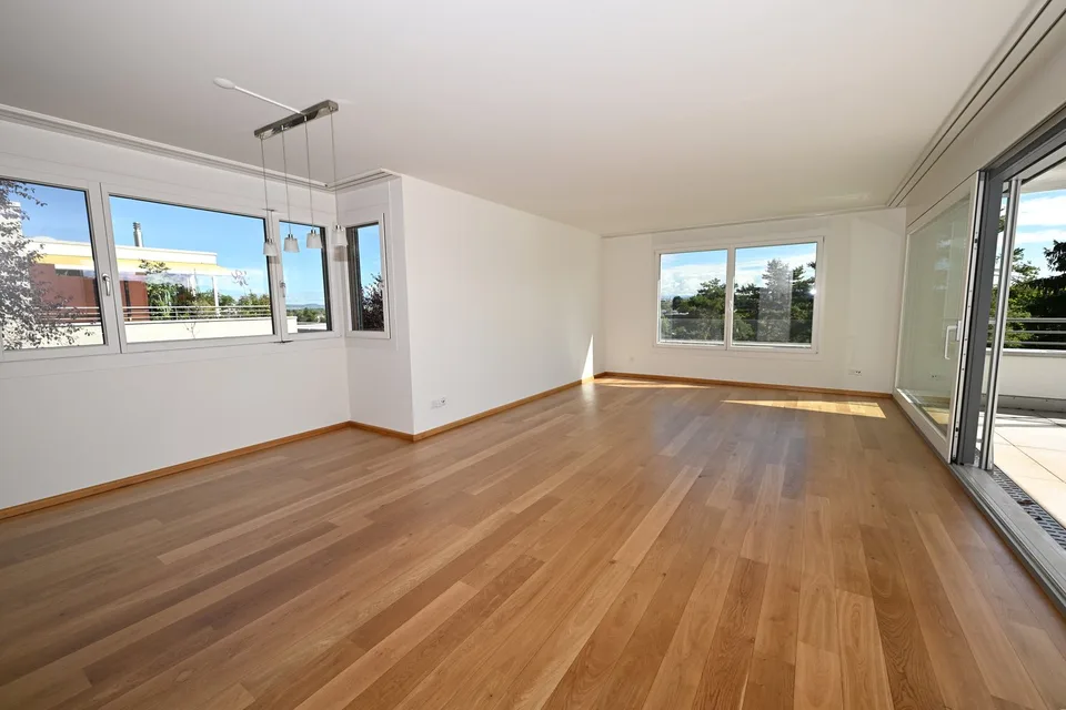 Modernes Terrassenhaus an ruhiger und zentraler Lage in Allschwil