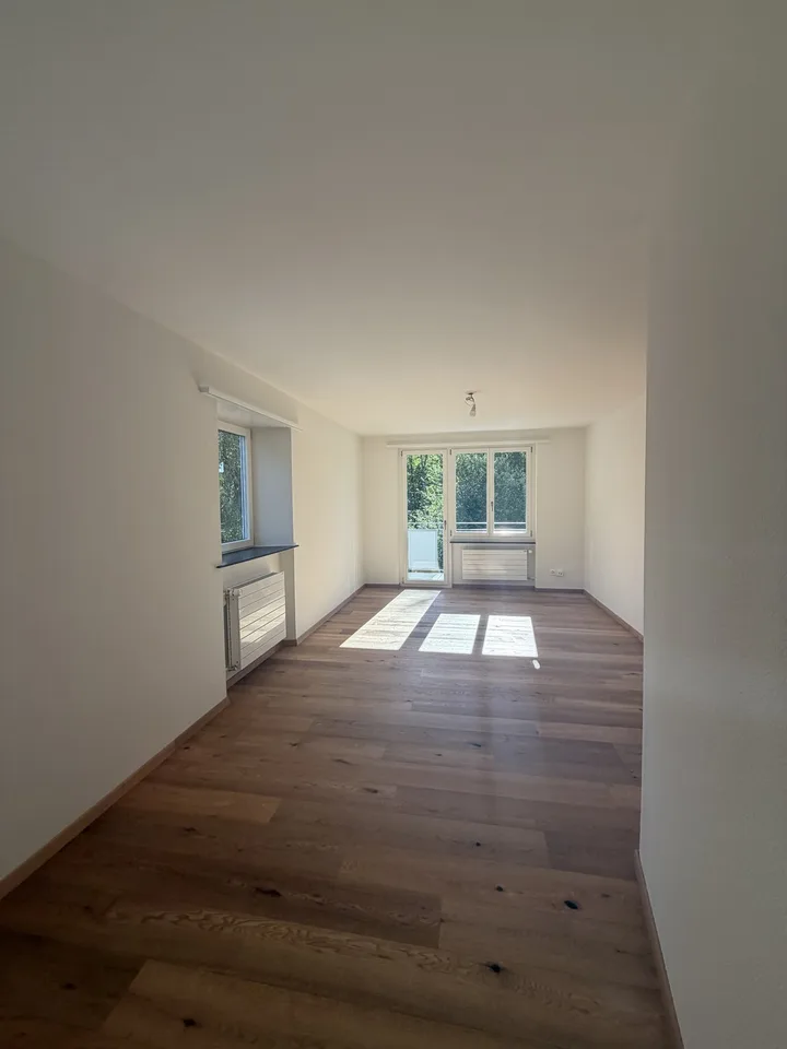 Helle, neu sanierte 2.5-Zimmer-Wohnungen am Aarmattweg 53
