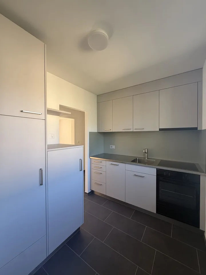 Helle, neu sanierte 2.5-Zimmer-Wohnungen am Aarmattweg 53