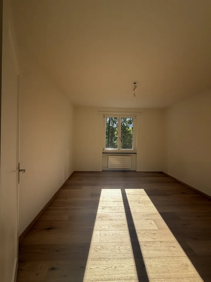 Helle, neu sanierte 2.5-Zimmer-Wohnungen am Aarmattweg 53