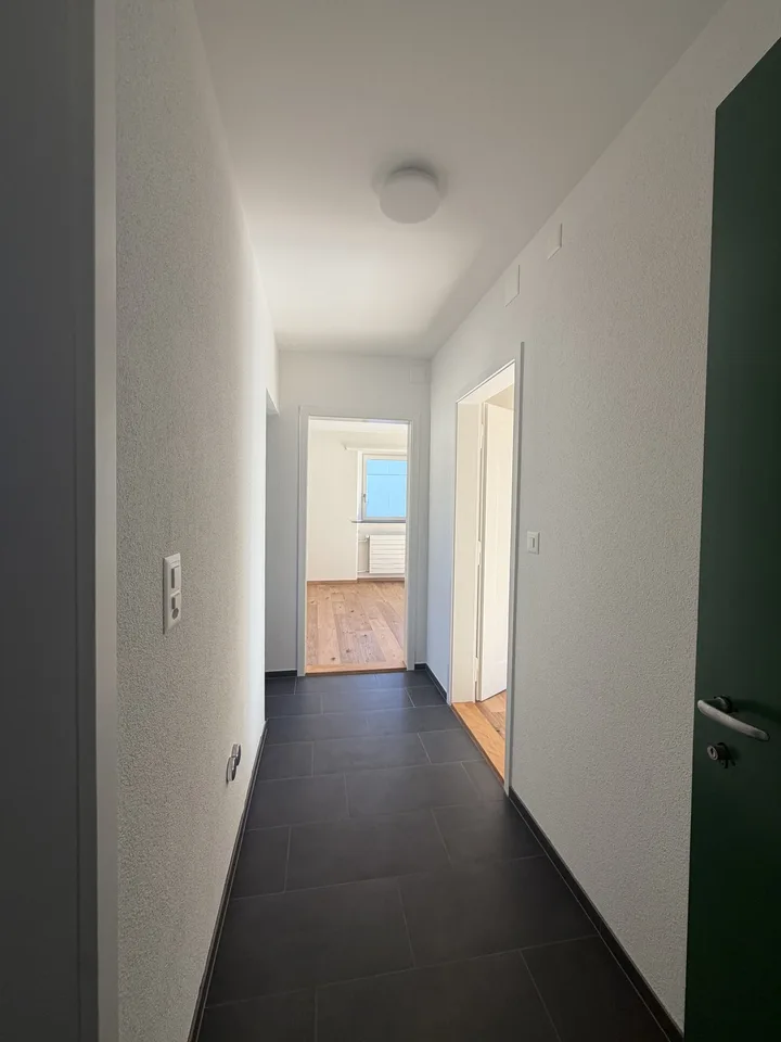 Helle, neu sanierte 2.5-Zimmer-Wohnungen am Aarmattweg 53