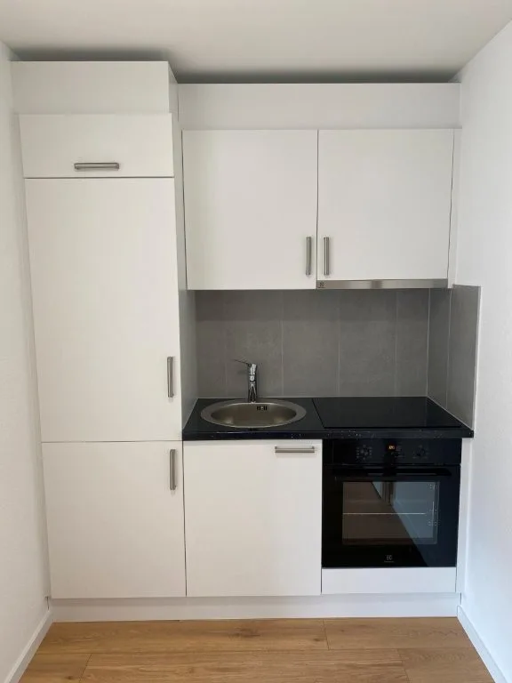 Appartement-Studio Moderne dans un Nouveau Bâtiment – Seewen SZ