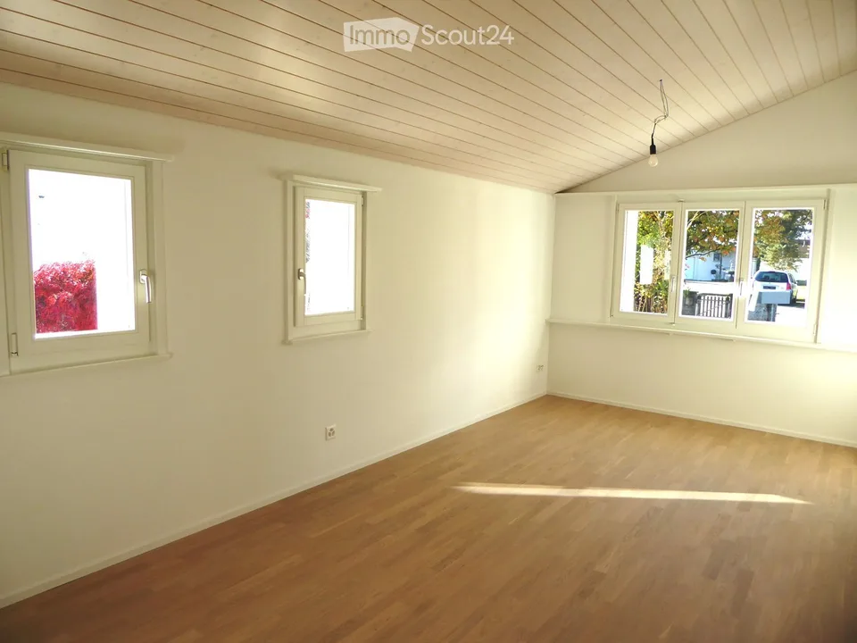 Appartement complètement rénové, beau, familial avec jardin