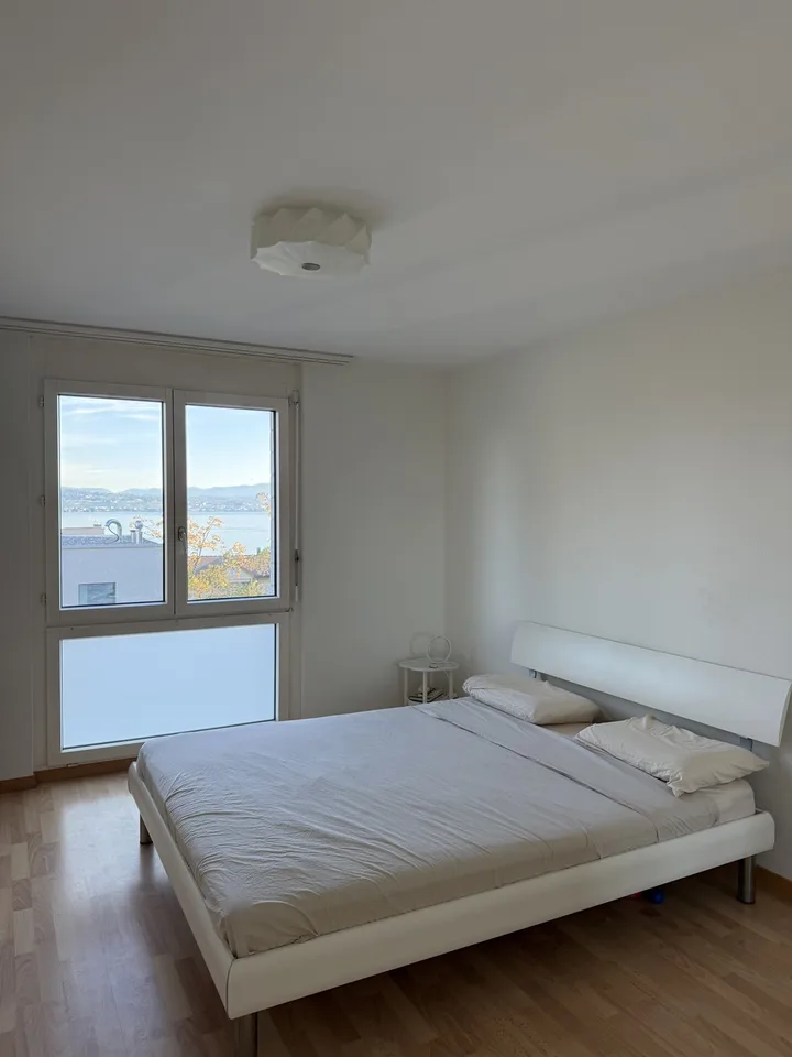 Appartement 4 ½ pièces, 8805 Richterswil