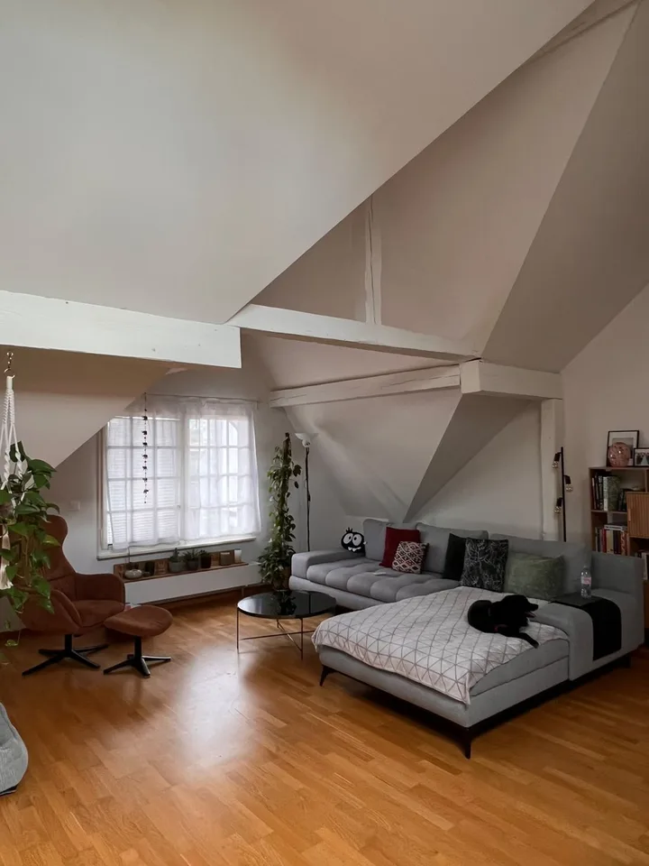 Grosszuegige und helle 3.5-Zimmer-Dachwohnung mit Loft-Charme im Fischermatteli