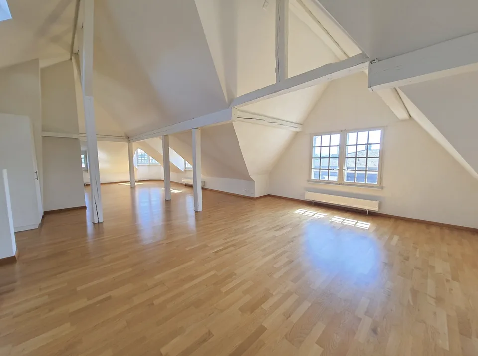 Grosszuegige und helle 3.5-Zimmer-Dachwohnung mit Loft-Charme im Fischermatteli